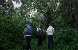 Visite de la forêt de Kakamega